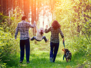 Family walking in the forest. Happy family walking with dog in the forest