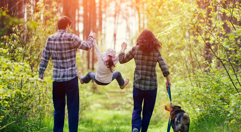 Family walking in the forest. Happy family walking with dog in the forest