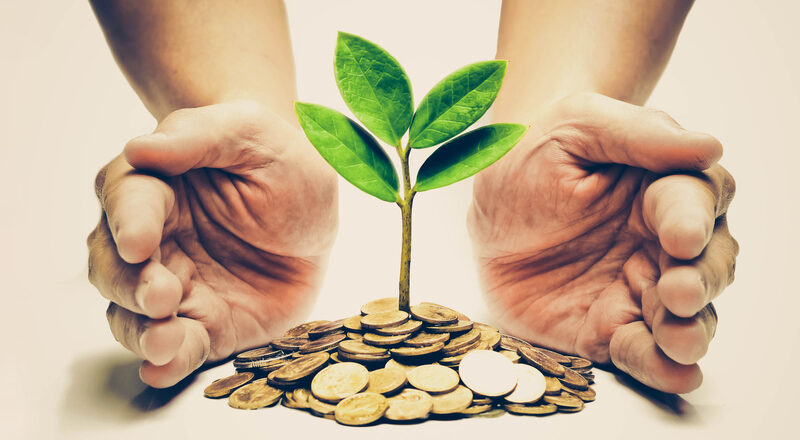 Palms with a tree growing from pile of coins